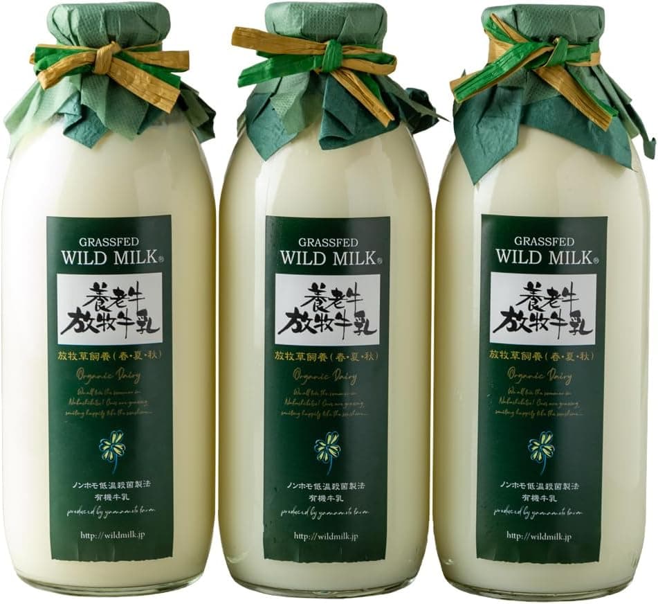 養老牛放牧牛乳